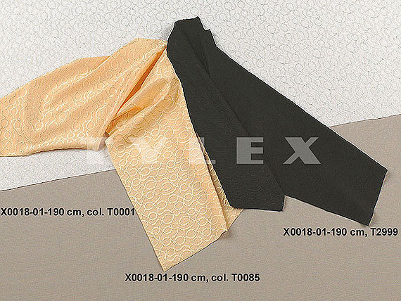 X 0018 X001801_0000_1900_T0085